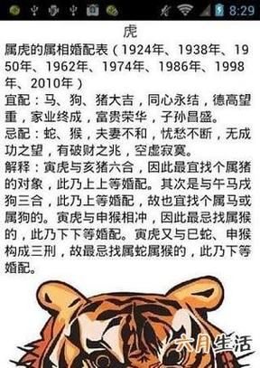 95年属猪和什么属相相克_如何化解相冲