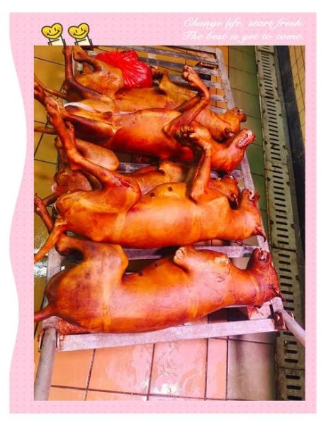 梦到杀狗吃狗肉_有什么预兆