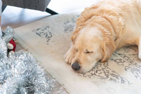 梦到父亲做手术_梦境预示什么