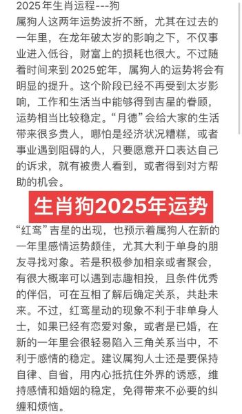 女生属狗2024年运势详解_属狗女今年财运如何