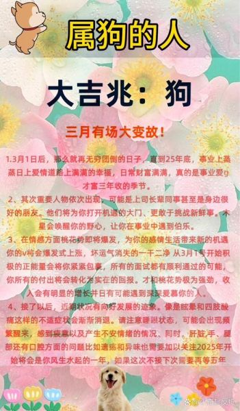 2019年属狗运势怎么样_属狗2019年财运如何