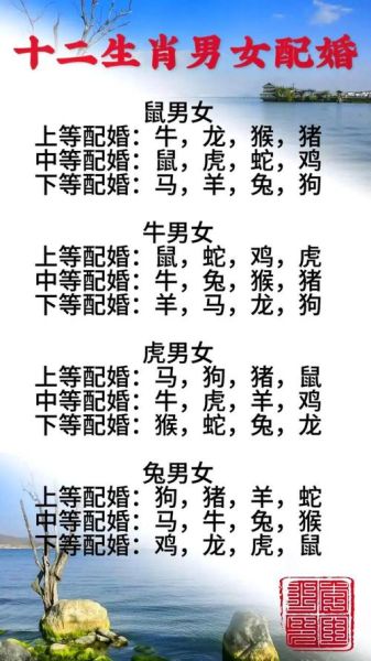 属相配对相克_哪些生肖不宜结婚