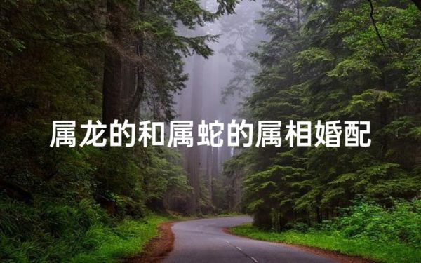 龙和蛇相冲吗_龙蛇属相婚配好不好