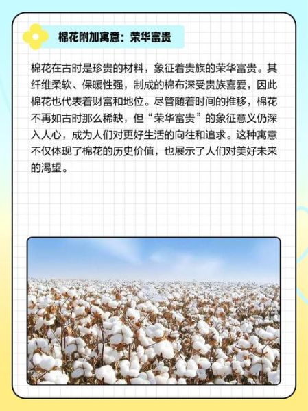 孕妇梦到棉花是什么意思_孕妇梦见棉花预示什么