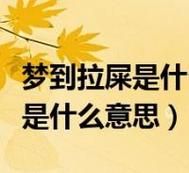 梦到拉屎在裤子里_是什么意思