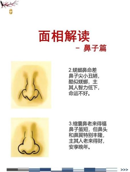 脸上财运看哪里_面相财运最旺部位