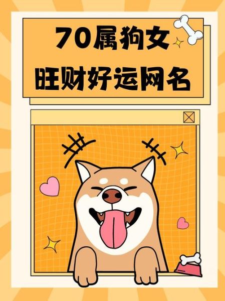 属狗明日财运如何_属狗明天偏财旺吗