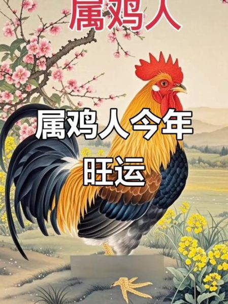 鸡年本命年财运如何_属鸡人如何转运