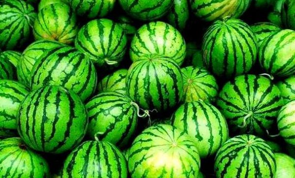 孕妇梦到西瓜是什么意思_孕妇梦见西瓜生男生女