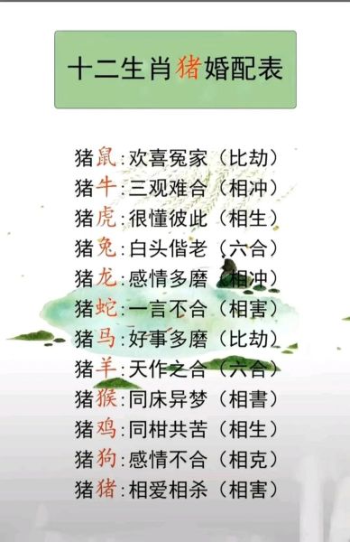 属猪和什么属相相害_属猪相害属相有哪些