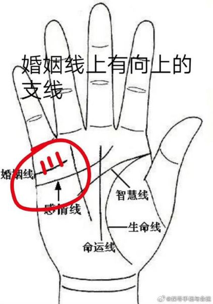 婚姻线财运线怎么看_手相图解大全