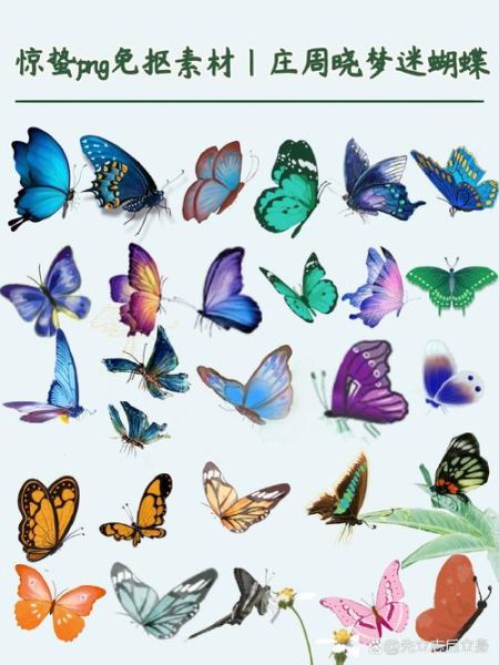 梦到好多蝴蝶什么预兆_蝴蝶成群飞寓意