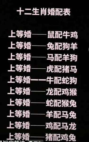 老鼠和鸡属相配吗_婚姻合不合