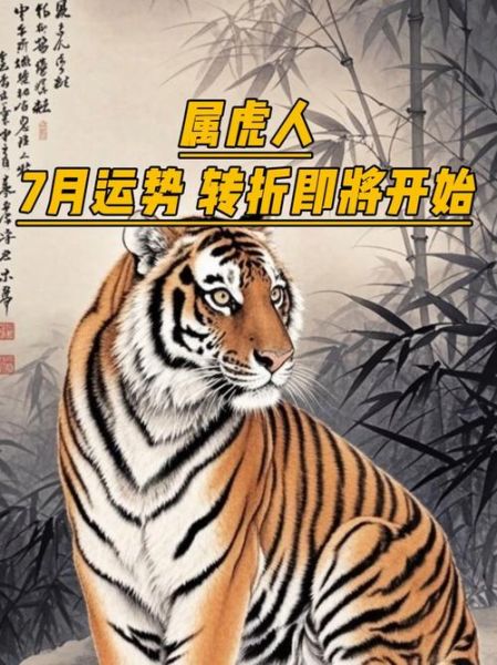 2017年属虎运势如何_2017年属虎财运怎么样