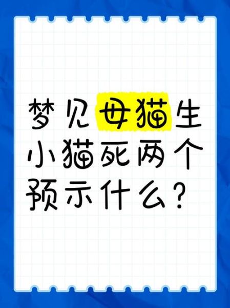 梦见自己变成猫_梦见变成猫是什么意思